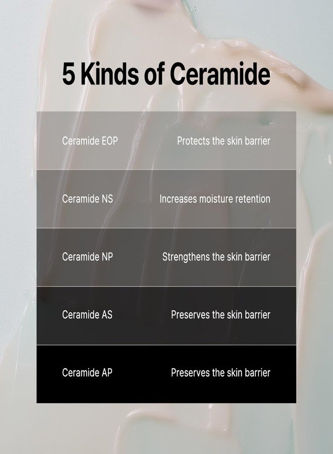 B.LAB B:Lab Apple Cera Overnight Calming Cream 50 ml | 2% Ceramide NP (20,000 ppm) + Apple Vinegar | Barrier-Repair Night Moisturizer for Red & Dehydrated Skin | 1.69 fl oz - Image 4